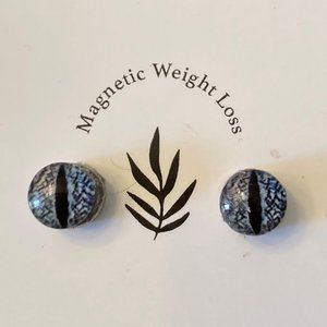 Magnetic Earrings